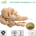 New Crop ginger extract,gingerol extract
